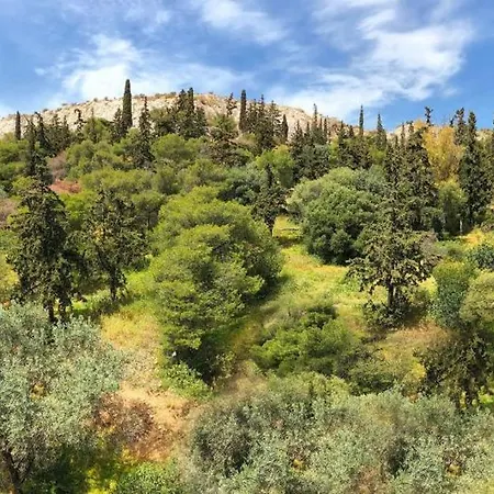 Unique Views Of Filopapou Hill In Acropolis Area! Apartment Athens
